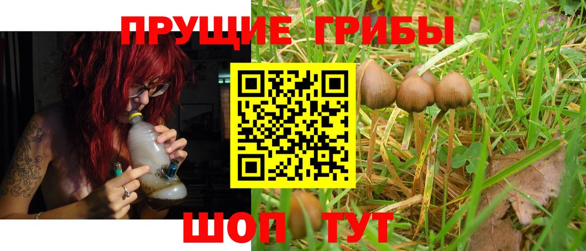 Псилоцибиновые грибы ЛСД  Вход с VPN  Галлюциногенные грибы Magic Shrooms  Сертолово 